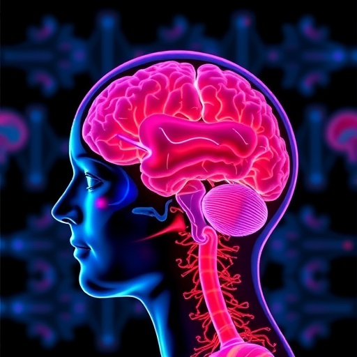 imaging-reveals-how-brain–body-interactions-shape-systemic-disease