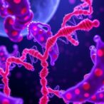 new-research-reveals-the-golgi-complex-helps-control-dna-repair