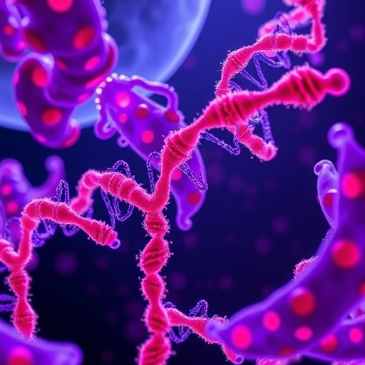 new-research-reveals-the-golgi-complex-helps-control-dna-repair