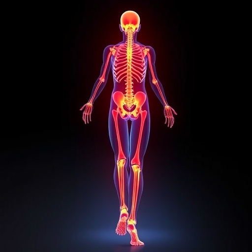targeting-vascular–musculoskeletal-links-may-treat-sarcopenia-and-osteoporosis