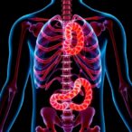 kaist-develops-treatment-targeting-cancer-cachexia,-a-debilitating-wasting-syndrome