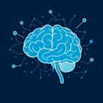 how-the-brain-sustains-motivation