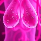 mammary-stem-cells:-their-roles-in-breast-development,-function,-and-disease
