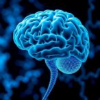 white-matter-disorders-link-transcription,-rna-processing,-and-translation
