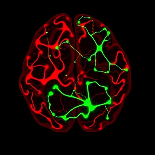 glutamate-co-release-by-inhibitory-nigral-neurons-reverses-motor-deficits-in-parkinson’s-mice