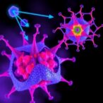 how-il33-and-il1rl1-variants-alter-il-33/st2-signaling-structure-and-function