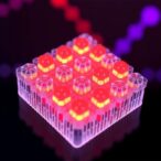 nus-cde-researchers-create-self-healing,-recyclable-substrate-for-longer-lasting-soft-sensors