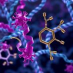 how-bri1-receptors-recognize-diverse-brassinosteroid-hormones