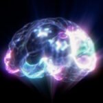 electrical-stimulation’s-effects-on-neurons,-gene-expression-mapped-in-living-human-brain-tissue