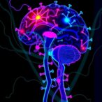 hkumed-research-with-hong-kong-genome-institute-uncovers-new-glioblastoma-treatment-targets