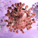 covid-19-reactivates-dormant-viruses,-offering-new-clues-to-long-covid