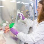 seamless-integration-in-gene-therapy-process-development