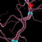 foxk2-discoveries-broaden-understanding-of-cancer-biology-and-clinical-care