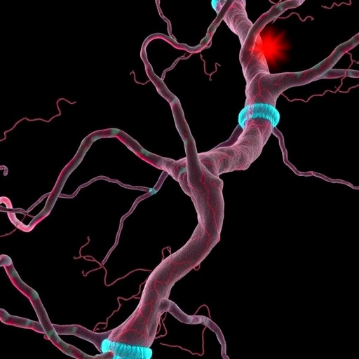 foxk2-discoveries-broaden-understanding-of-cancer-biology-and-clinical-care