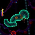 foxa2-study-reveals-pivotal-role-in-pancreatic-function-and-glucose-regulation