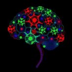 stimulation-modulates-gene-linked-cell-assemblies-in-the-human-brain