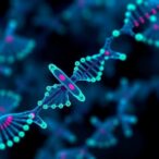 tiny-rna-pathway-may-unlock-more-powerful-stem-cell-therapies