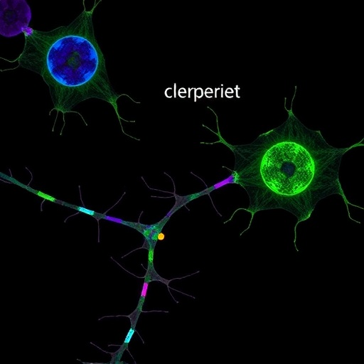 mbnl-loss-drives-stem-cell-fusion-and-immature-myonuclei-in-dm1