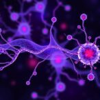 how-tumors-rewire-dendritic-cell–t-cell-communication,-revealing-new-therapeutic-opportunities
