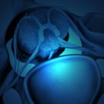 engineered-human-interneuron-transplants-repair-respiratory-circuits-in-injured-rats