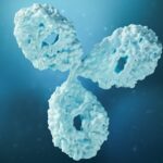 renewed-importance-of-cex-in-monoclonal-antibody-purification