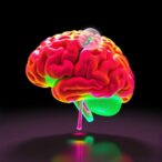 light-field-microscopy-pushes-3d-neuroimaging-toward-unprecedented-speed