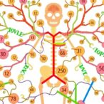 multi-omics-study-identifies-new-drivers-of-organ-damage-in-fabry-disease