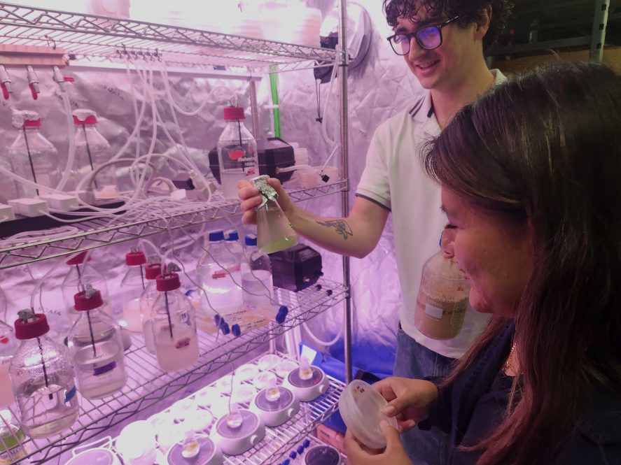 algae-based-food-product-development-earns-gates-foundation-award