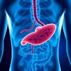 how-inflammatory-gut–liver-crosstalk-drives-disease-and-reveals-new-treatment-targets