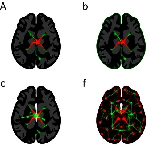 mouse-insular-cortex-pyramidal-cell-types-reveal-specialized-circuit-functions