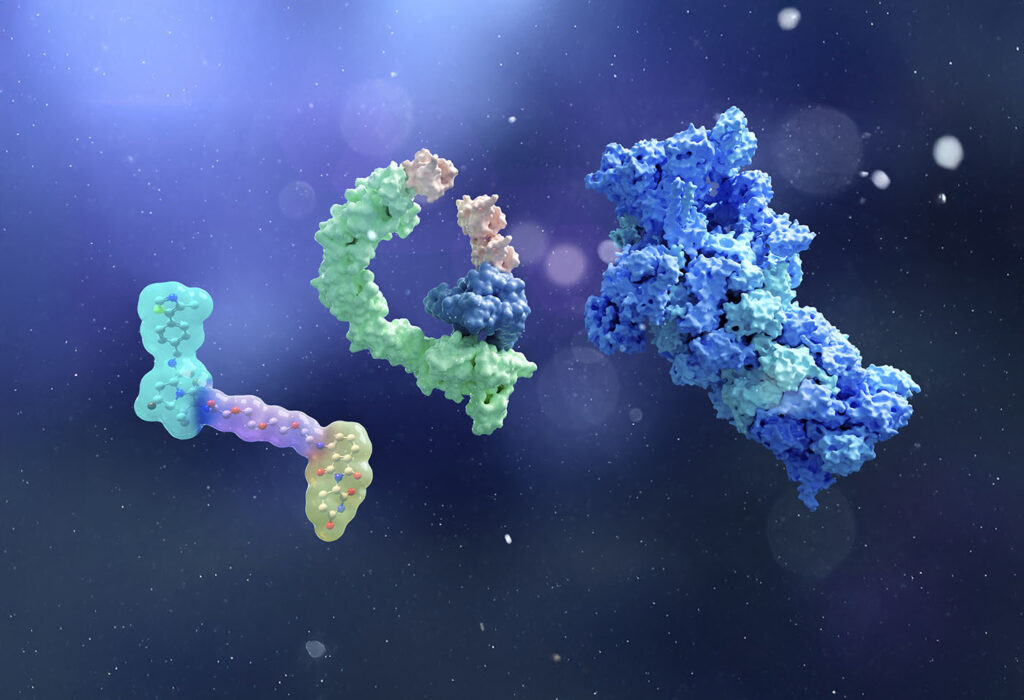 novel-molecular-glue-discovery-platform-unlocks-undruggable-cancer-targets