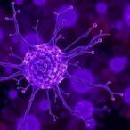 revealing-how-cancer-cells-evade-the-immune-system
