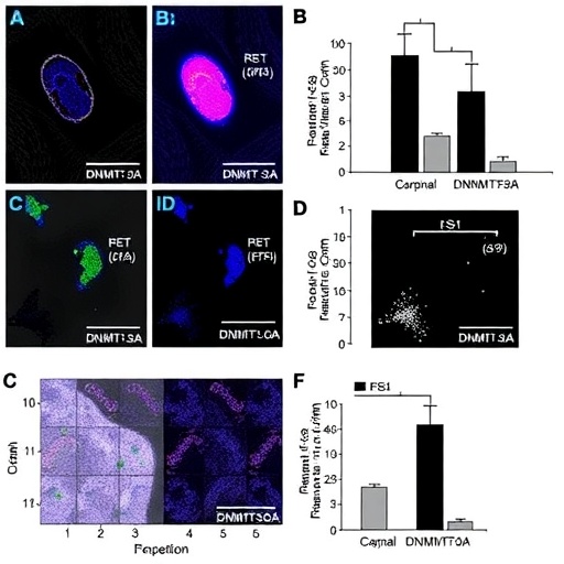 esm1-mediated-dnmt3a-suppresses-cervical-cancer-metastasis-via-id3-epigenetic-regulation