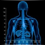 which-psa-cutoff-best-indicates-successful-prostate-cancer-treatment?