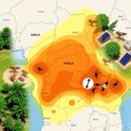 dengue-transmission-evidence-and-diverse-aedes-mosquito-virome-found-on-congo-angola-border