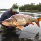 new-study-brings-hope-against-deadly-virus-threatening-carp-populations