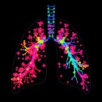 recurrence-linked-eccdna-patterns-offer-new-prognostic-insights-for-lung-adenocarcinoma