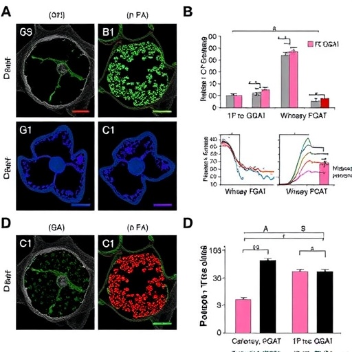 dgat1-controls-macrophage-pyroptosis-during-klebsiella-pneumoniae-infection