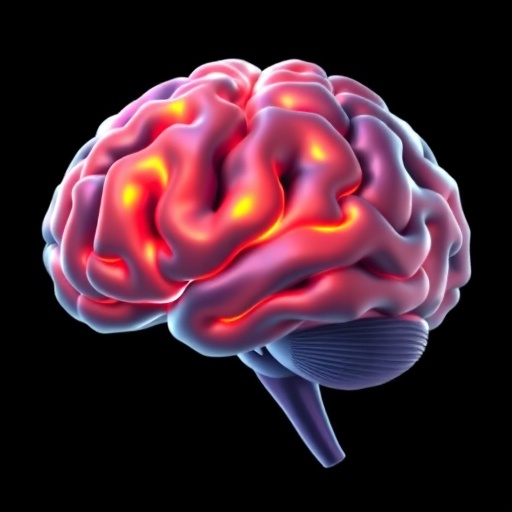 ml-identifies-brain-regions-linked-to-impulsivity-in-young-adults-with-obesity