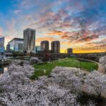 greater-richmond’s-pharma-cluster-keeps-compounding