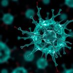 unconventional-t-cells-offer-new-hope-against-urological-cancers