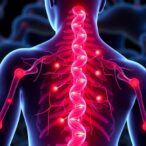 molecular-clues-reveal-why-neuromas-cause-pain