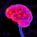 physiological-markers-linked-to-levodopa-emerge-during-deep-brain-stimulation-for-parkinson’s