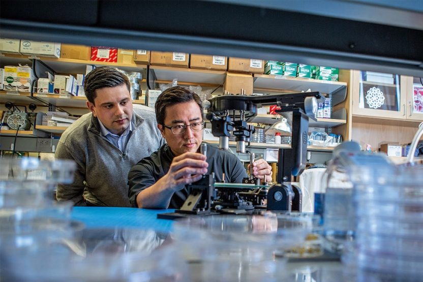 human-biological-datacenter-to-launch-to-train-world-model-of-human-biology