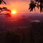 smithsonian-and-nasa-team-up-to-study-tropical-forests-across-continents