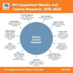 nci-supported-obesity-and-cancer-research,-2015–2022