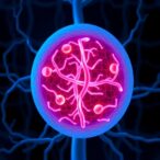 locking-therapeutic-strategy-could-make-cancer-treatment-more-precise