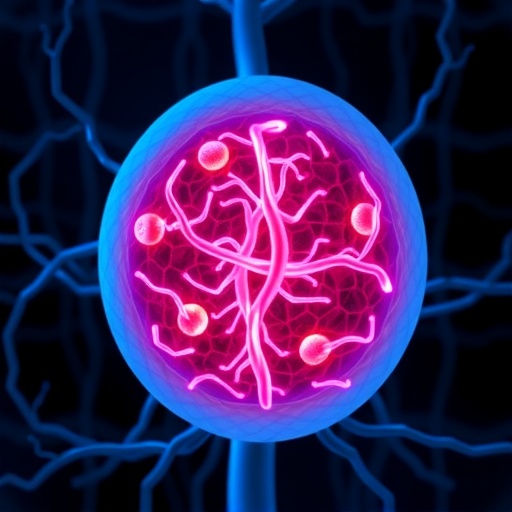 locking-therapeutic-strategy-could-make-cancer-treatment-more-precise