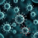 phage-contingency-loci-let-viruses-hedge-against-bacterial-defenses
