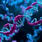 scientists-reveal-hidden-mechanism-driving-rna-synthesis